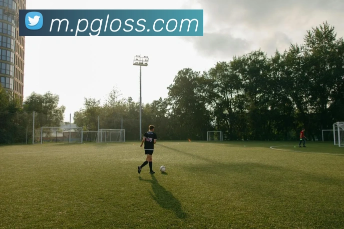 pg电子平台生态图