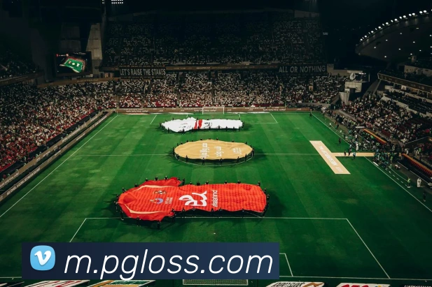 App 展示图